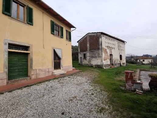 immagine annuncio 5 di 13