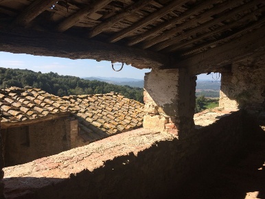 Foto Casale a Casole d'Elsa di 800 m² con 10 locali in vendita