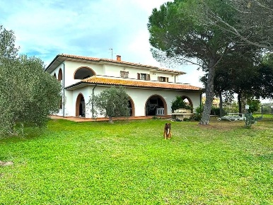 Foto Casale a Cecina Cecina Centro di 400 m² con 8 locali in vendita