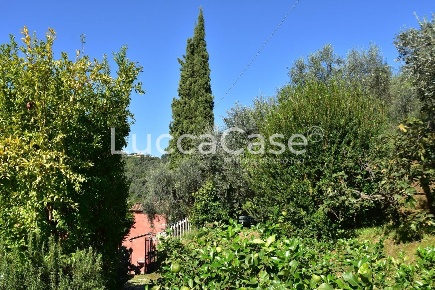 Foto Casale a Massarosa Stiava di 180 m² con 10 locali in vendita