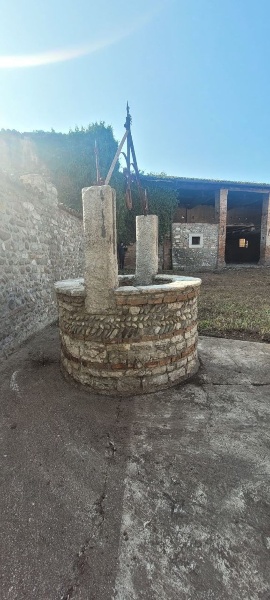 immagine annuncio 8 di 12