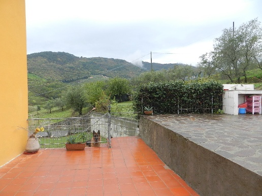 immagine annuncio 2 di 12