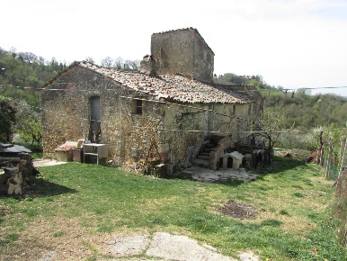 Foto Casale a Todi di 300 m² con 20 locali in vendita
