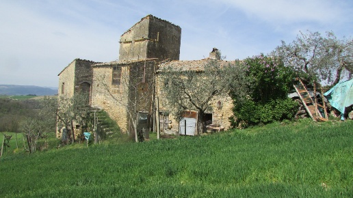immagine annuncio 3 di 11