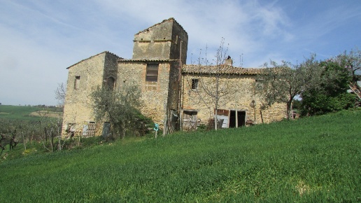 immagine annuncio 4 di 11