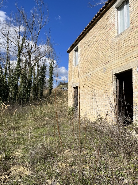 immagine annuncio 1 di 8