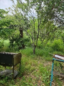 Foto Casale in strada Ernesto Senatore Marsaglia 286, Sanremo Ospedale