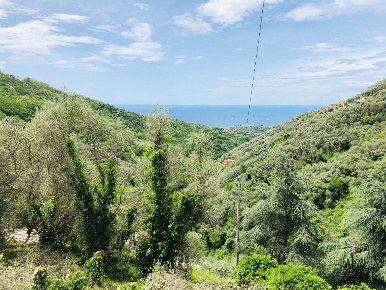 Foto Casale in Via Costigliolo, Cogorno Centro di 310 m² con 15 locali