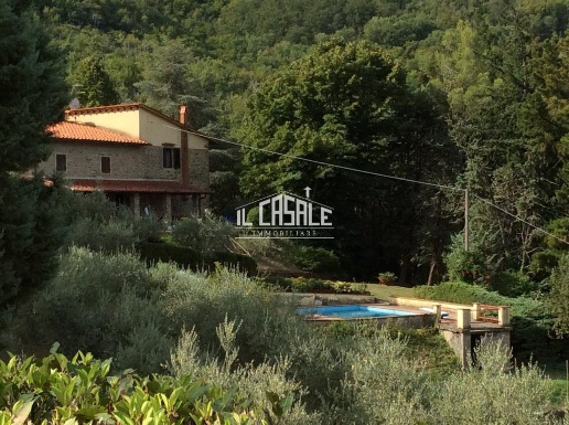 immagine annuncio 4 di 6