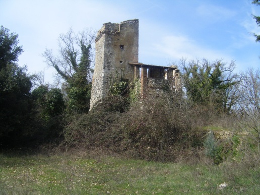 immagine annuncio 3 di 8