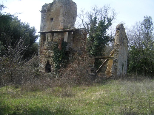 immagine annuncio 4 di 8
