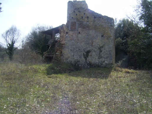 immagine annuncio 5 di 8