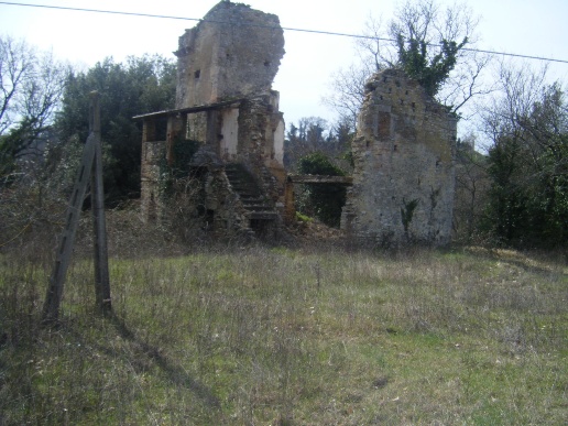 immagine annuncio 6 di 8