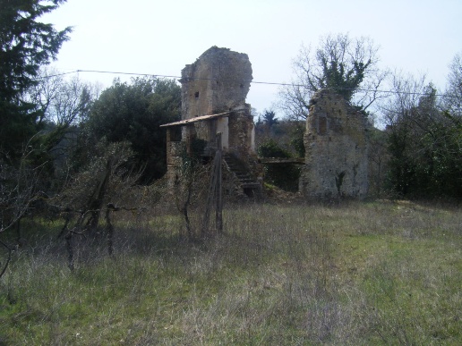 immagine annuncio 7 di 8