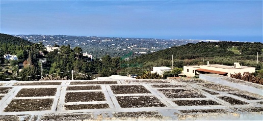 Foto Casale in Contrada San Nicola 111a, Monopoli Gorgofreddo di 215 m²
