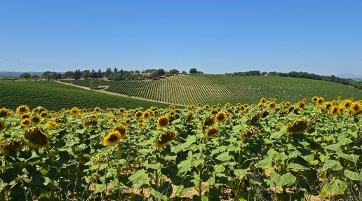 Foto Casale in Strada provinciale 92 snc, Baschi di 400 m² con 10 locali