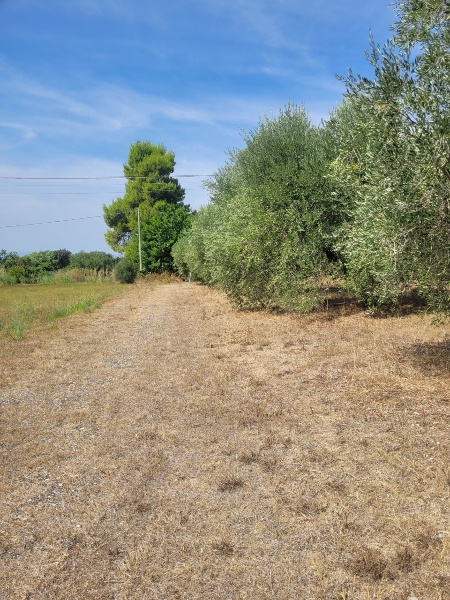 immagine annuncio 6 di 9