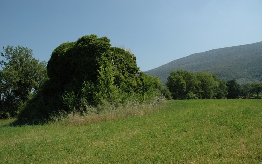 immagine annuncio 2 di 8