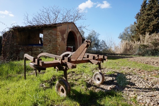 immagine annuncio 6 di 14