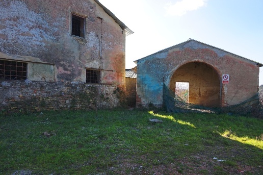 immagine annuncio 7 di 14
