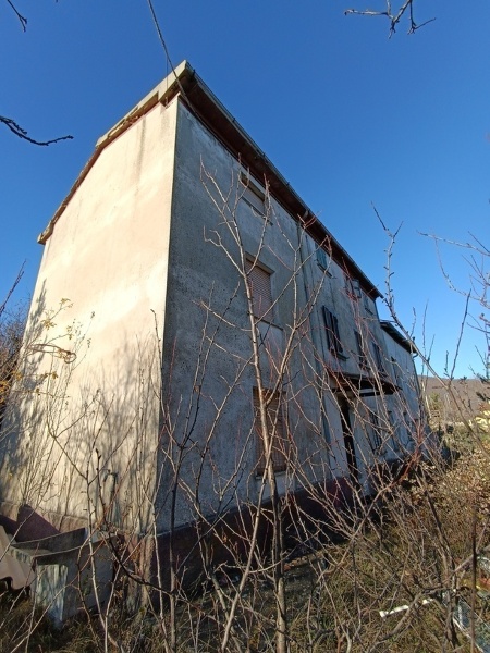 immagine annuncio 5 di 8