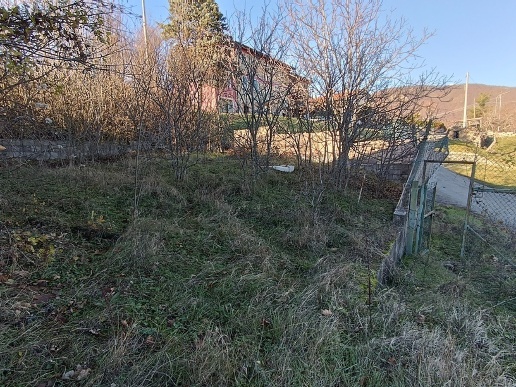 immagine annuncio 6 di 8