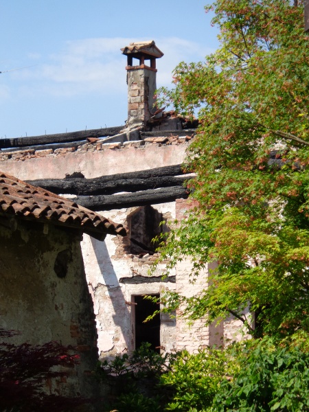 immagine annuncio 1 di 14