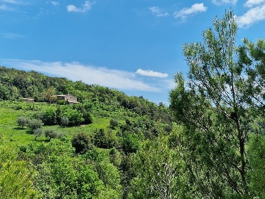 Foto Casale in LOCALITA COLONNETTA, Orvieto di 940 m² con 15 locali