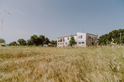 Foto Casale a Treia di 300 m² in vendita