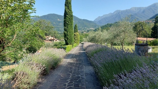 Foto Casale a Bagnone Centro di 420 m² con 13 locali in vendita