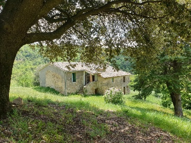 Foto Casale in Località Prodo, Orvieto di 250 m² con 9 locali in vendita
