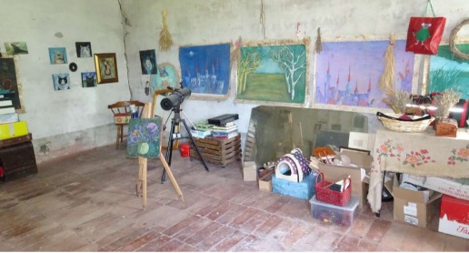 immagine annuncio 3 di 12