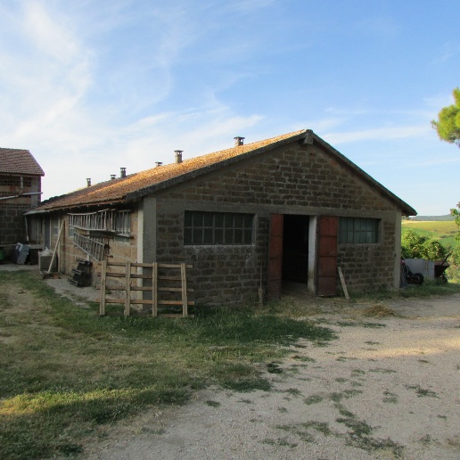 immagine annuncio 6 di 13