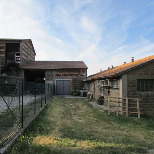 immagine annuncio 7 di 13