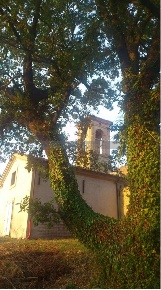 Foto Casale in Vocabolo Casella 74b, Torgiano di 600 m² con 5 locali