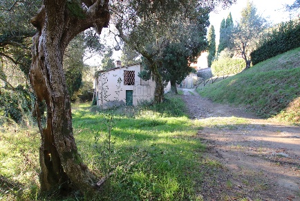 Foto Casale in traversa II 77, Lucca Sant'Alessio - Carignano di 300 m²