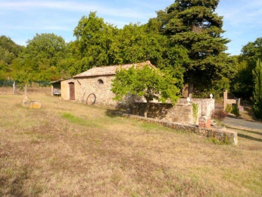 immagine annuncio 3 di 11