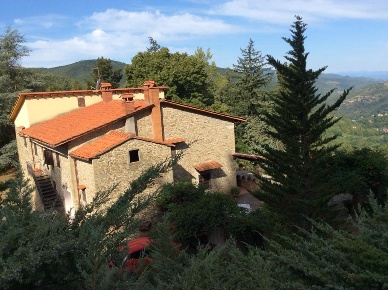 Foto Casale a Londa Centro di 350 m² con 14 locali in vendita