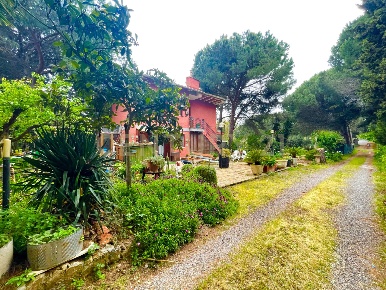 Foto Casale in località patanella, Orbetello di 210 m² con 6 locali
