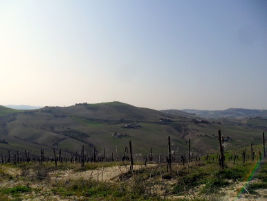 Foto Casale in Contrada Magnola, Ripatransone Centro di 215 m² con 8 locali