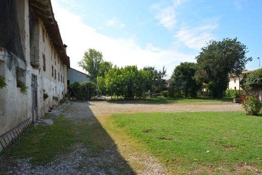 immagine annuncio 3 di 14