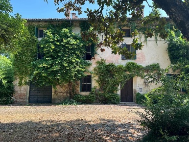 Foto Casale in Strada Argine del Po 23, Polesine Zibello Vidalenzo