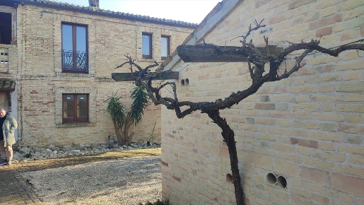 Foto Casale in via delle terme, Città Sant'Angelo di 323 m² con 5 locali