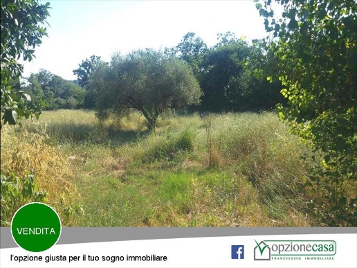 immagine annuncio 6 di 9