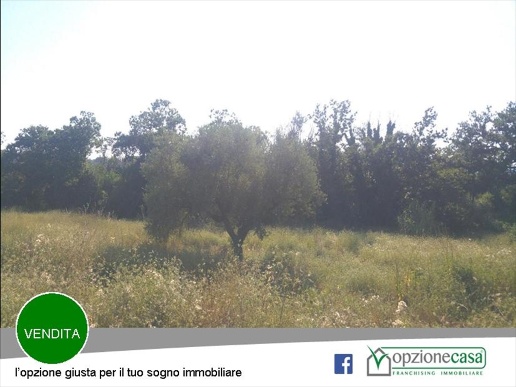 immagine annuncio 8 di 9
