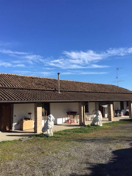 immagine annuncio 2 di 6