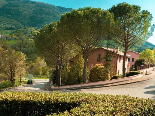 immagine annuncio 13 di 14