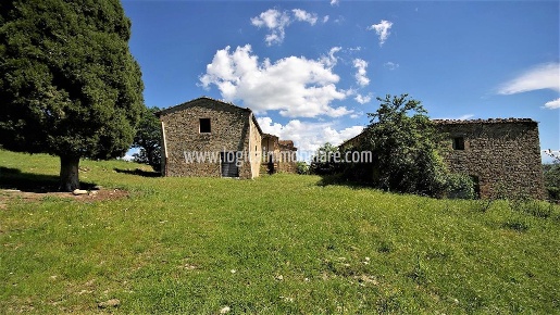 Foto Casale in SP146, Pienza Centro di 550 m² con 21 locali in vendita