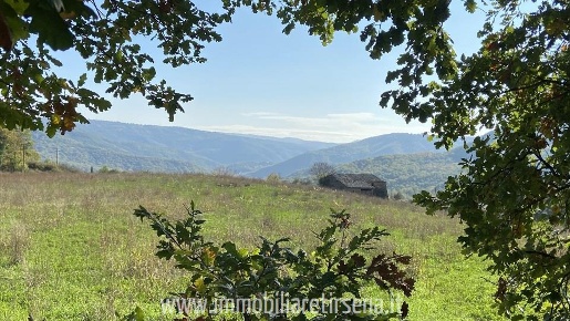 Foto Casale a Ficulle di 200 m² in vendita