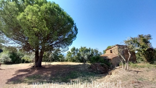 Foto Casale a Ficulle di 70 m² con 3 locali in vendita